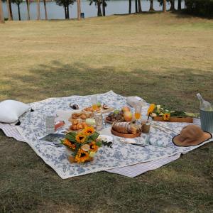 Moisture-proof picnic blanket for outdoor camping outings